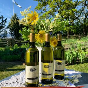 RABARBERIVEIN (KUIV) Art. 0004